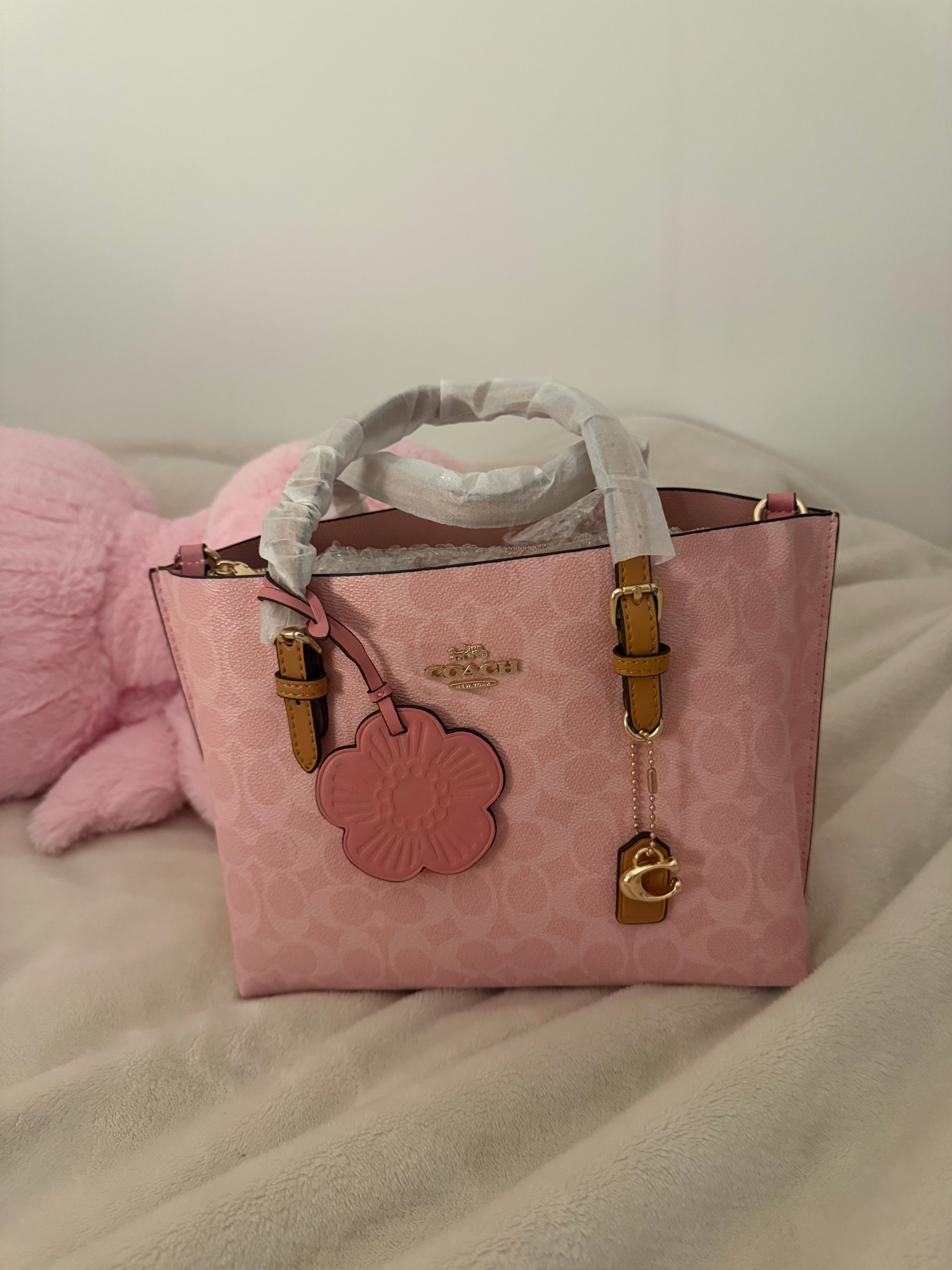 Coach Mollie Tote Bag 25